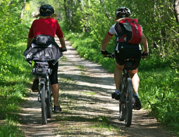 cyclists on woodland path photo by Antranias on Pixabay - crop - Copy